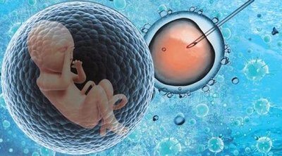 胎停育后什么时候可以再次备孕怀孕