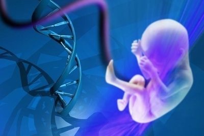 在试管婴儿医治中要关注子宫内膜容受性吗
