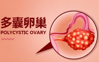 多年难孕试管婴儿移植之后多久可以验孕