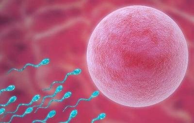 长期的巧克力囊肿可以做中山试管婴儿吗