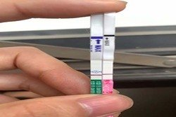 什么是弓形子宫对女性备孕有影响吗可以试管婴儿吗