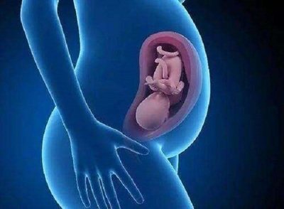 慢性前列腺炎要注意什么能不能试管婴儿医治