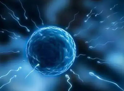 早发性卵巢功用不全可以选择试管婴儿医治吗