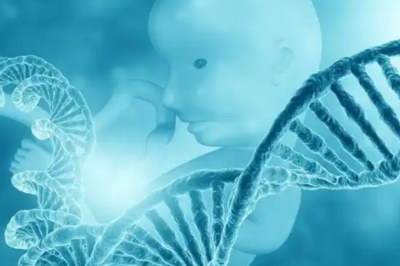 女性年龄对于助力试管婴儿的胜利来说有多重要