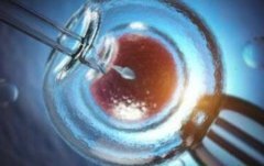 宫腔粘连难孕反复流产能不能试管婴儿医治