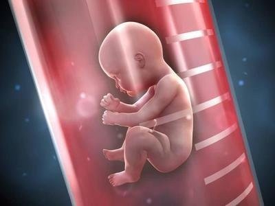 夫妻肥胖对试管婴儿助孕有影响吗？该如何科学减肥