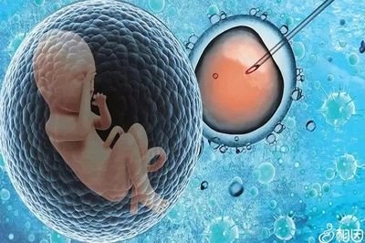 试管取卵后腹部胀痛该如何进行处置