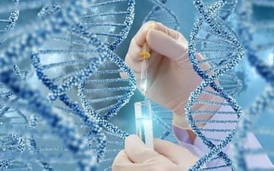 试管婴儿中的降调胜利会怎么样