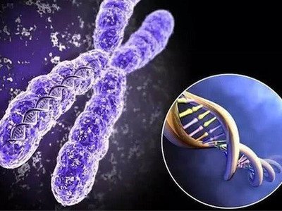 精子数量少影响女性受孕吗可以试管婴儿吗