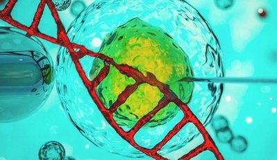 子宫内膜容受性是如何影响试管婴儿助孕医治的