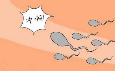 胎停育后什么时候可以再次备孕怀孕